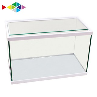 레인보우 테두리 어항, 1개