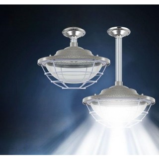 led 방폭등 산업용 램프 주유소 펜던트 벽 주광색 투광등 창고 공장등, 곡면 벽장식 50W 27cm 벽장식 바닥 포함