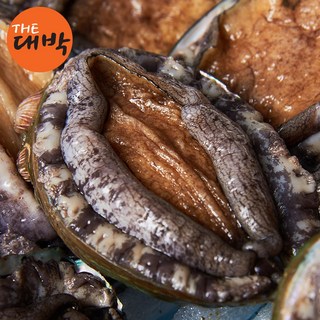 완도 활 전복 선물세트, 1개, (5-6미) 1kg