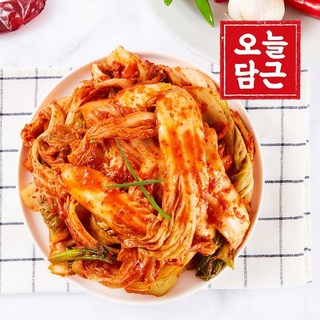 오늘담근 전라도 겉절이 5kg, 1개