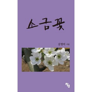 鹽之花：金英美詩集, 創研, 金英美 著