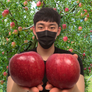 고당도 부사 홍로 보조개 못난이 사과, 1개, 5kg(가정용 중과)