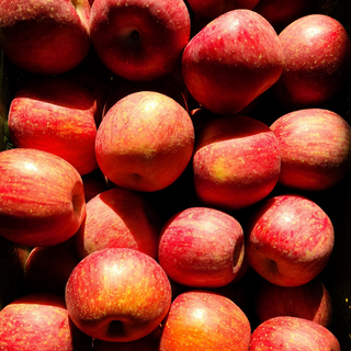 [경북직송] 청송 홍로 사과 꿀사과, 1세트, 할인1번