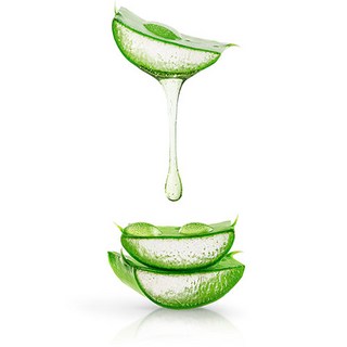 천연사랑 알로에베라젤 (Aloe Vera Gel) 알로에베라겔, 1개