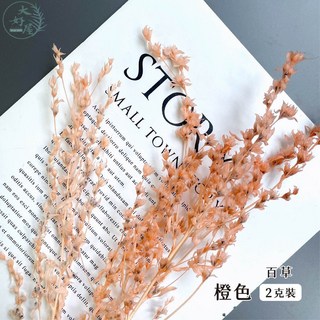 大好屋 百草 小風凌花 卡斯比亞 蠅子草 DIY花藝 永生花乾燥花 材料包, 百草【橙色】小分裝