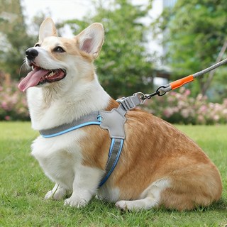 안장형 반려견 가슴줄 통기성 반사 리드줄, 블루