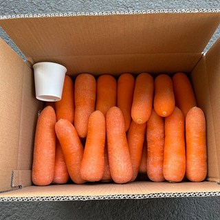 제주 구좌 세척 당근 쥬스용 중품 상품 산지직송, 1개, 세척 당근 (중) 5kg