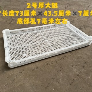 塑料長方形加厚冷凍盤/烘乾盤/瀝水盤 - 多用途塑膠淺盤, 1個