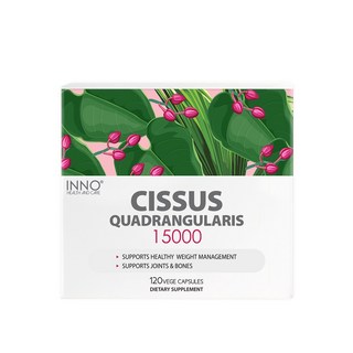 뉴질랜드 이노헬스 시서스가루 추출물 알약 시져스 cissus 15000mg 120캡슐, 120정, 1세트