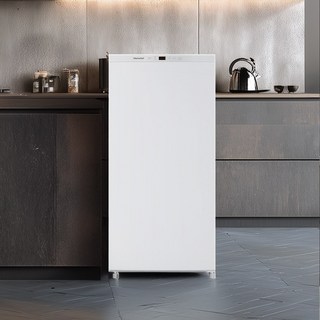 캐리어 클라윈드 미니 김치 냉장고 93L 스탠드형 1도어, KRNO093WKM1, 화이트