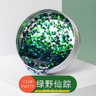 液態玻璃泥史萊姆非流動流體解壓安全無毒變色彈跳泥彩泥兒童玩具, 1個, 新品上新-綠野仙蹤（變色龍）