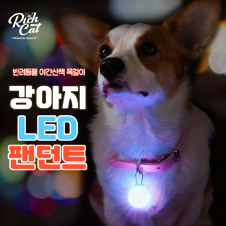 리치캣 강아지 LED 라이트 야간산책 팬던트 야광목걸이(3p), 1세트, (빨강+노랑+파랑)