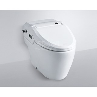 대림바스 대림비앤코 DST-700 SMARTLET 프리미엄 일체형 비데 양변기, 변기부속미포함, DST700, 단순배송상품