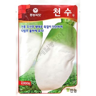 천수무 2000립 팜한농 25년 김장씨앗 무씨앗