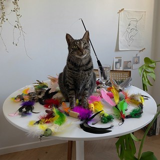 고양이 장난감 3단 2.6미터 낚시대/깃털/68종/균일가, 34번, 1개