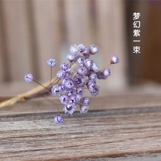 幹花花束天星菊小清新雛菊幹花裝飾花藝術幹樹枝小星花迷你白菊花, 1個, 【天星菊】紫色（95枝+10枝補損）