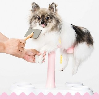 펫올라잇 그루밍 홀더소형 셀프목욕애완용품 GP100-01, 1개