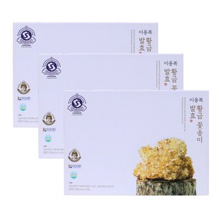 이용복 황금 꽃송이버섯 발효 분말, 4g, 90개, 30개입 120g