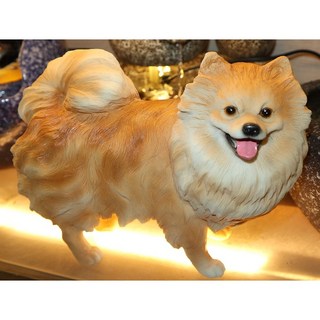 【吉蓮工坊】目前沒有喔!還在排隊等訂貨 有急需可先連絡(11/26更新)-20231112