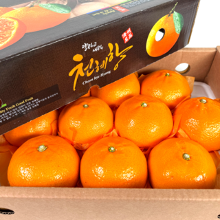 특품 제주 고당도 천혜향 선물세트 제주도, 1개, 선물용 5kg 대과(15~23과)