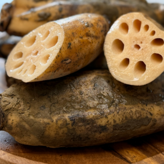 파미쉬 국내산 아삭아삭 흙연근 생연근 연근채, 1개, 400g