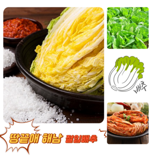 [굿피플] 맛있는절임배추 절인배추 김장 괴산 해남강원도배추, 30kg, 1개, 절임배추(9~17포기) 출고희망일
