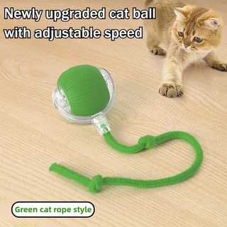 고양이 대화형 장난감 꼬리가 있는 자동 롤링 충전식 애완 동물 고양이용 지능형 마우스 2개, RopeGreen