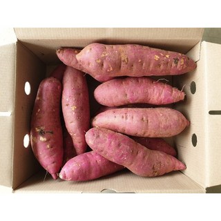 청조농산의 당도가득한 꿀청밤고구마 3kg 5kg, 청조농산의 햇 꿀청고구마 3kg, 1개