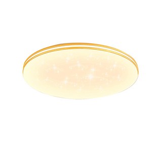 月樺燈飾 星空LED吸頂燈 全光譜無頻閃 無極調光 APP無線遙控 智能高亮 適用臥室客廳 50CM 5500lm, 50CM 5500lm 智能高亮護眼款