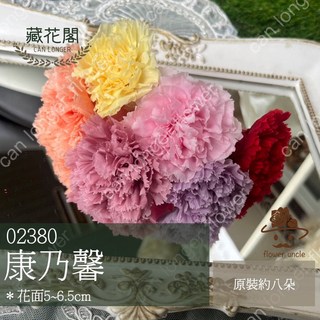 花大伯 日本大地農園 02380 不凋康乃馨主花 5-6.5cm 8朵裝 多色可選, 431粉末紫丁香