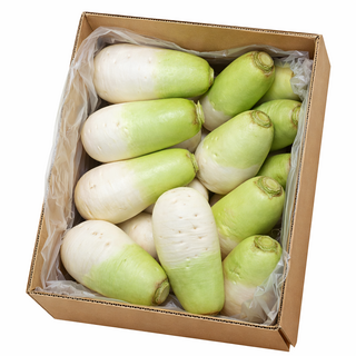 [팜팜]제주도 월동무 세척무, 1박스, 20키로(16-20수)