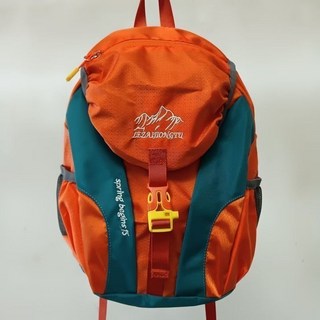 限時下殺 時尚旅遊戶外後背包 運動休閒背包 超輕防水包多功能登山包 背包旅行後背包 旅行背包雙肩包 登山背包 露營後背包, 中號橘色15升有胸扣36*3