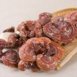 국산 영지버섯 300g 건조버섯 한방재료 한약재, 1B77_국산 영지버섯 300g, 1개