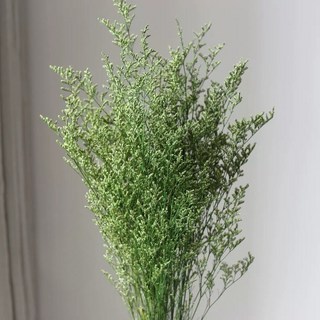 現貨 大把乾燥花 星辰/滿天星/情人草/卡斯比亞 乾燥花花束 永生花 情人節禮物 生日禮物 拍照道具背景 餐廳佈置, 100克/大把/卡斯比亞(翠綠色)