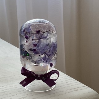 Floraflower 水晶球浮游花 - 籐夢紫〖質感禮物〗實用 精美 夜燈 乾燥花 生日 情人節 母親節 畢業 紀念, 加購Led燈底座