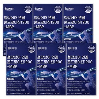 철갑상어 콘드로이친 1200 6형 식약청 인증 HACCP c6s 연골 뮤코다당 단백 엠비피 배합 헬씨루틴, 6박스, 60정