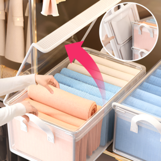 에너바인 튼튼한 접이식 투명 옷정리함, 투명 덮개형, 2개