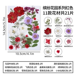 【繽紛花園系列】花包組合 真花壓花 永生花 森林系 少女寫真 壁畫 DIY水晶滴膠 乾燥花 植物標本, 2.繽紛花園紅色