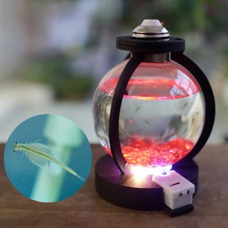 씨몽키 수족관 만들기-SST, 단품