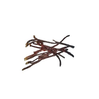 亞源泉 精選鹿角靈芝，新鮮採摘，營養豐富，口感鮮嫩，滋補養生首選, 1個, 500g/包