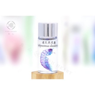 魚心標本藝術 透明生物標本 道氏具足蟲(中) 精緻標本工藝 海洋生物收藏, 1個