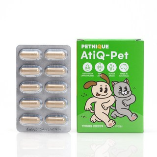 펫니크 아티큐펫 이미지