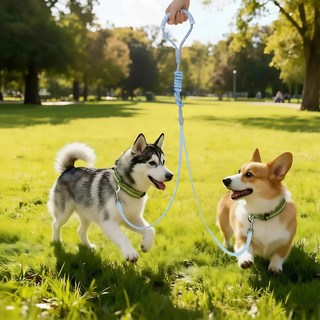 Tinduo 강아지 자동 리드줄 1.5m 2in1 이중 도그줄 마카롱 컬러 안락 핸들 줄 당김 방지 소형 중형 대형 강아지 리드줄, 1개, 파랑
