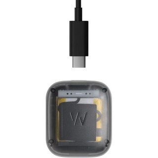 WHOOP 배터리 팩 4.0 – 휴대용 웨어러블 방수 충전 구성 요소 건강 피트니스 및 액티비티 트래커 그레이, Gray, Gray, 1개