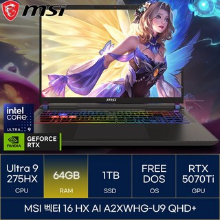 MSI 2025 벡터 16 HX AI 코어Ultra9 지포스 RTX 5070 Ti, 코스모스 그레이, 1TB, 64GB, Free DOS, A2XWHG-U9 QHD+