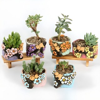 Market Plan 鮮花樹熊多肉植物迷你盆栽 6款, 混合色, 1套