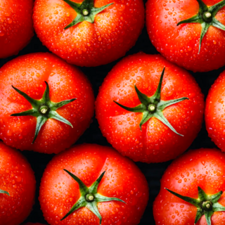 당일수확한 정품 완숙 찰 토마토 특상품, 1박스, 토마토 대과 5kg