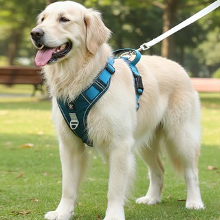 해피펫밀리 중대형견 하네스 다기능 풀커버, 블루