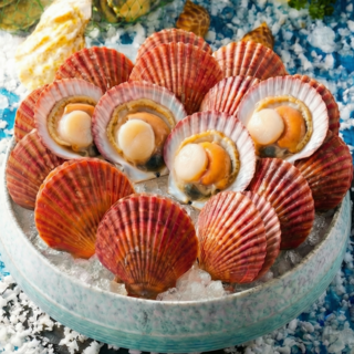 [통영 어부] 프리미엄등급 제철 홍가리비 당일조업 산지직송, 1개, 5kg (특상품)