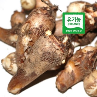 유기농 베트남 왕토란 종근 종자 1개 모종 씨앗 타로토란, 베트남 왕토란 종근 (소) 1개